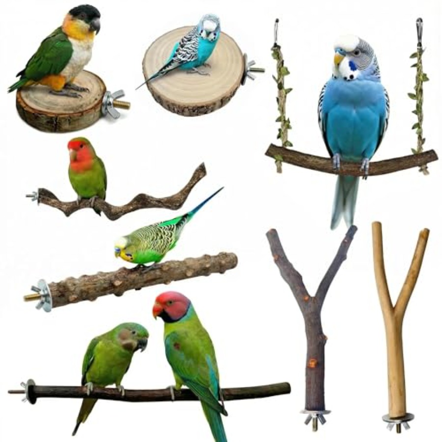 8 stuks natuurlijke houten vog - Health & Wellness Kuala Lumpur recensie en prijs